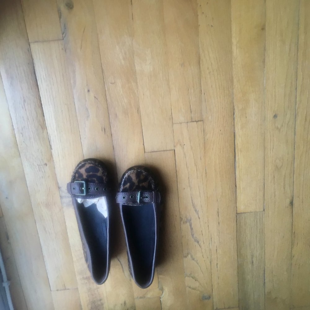 NEW J.CREW COLLECTION W/BOX SIZE 6.5